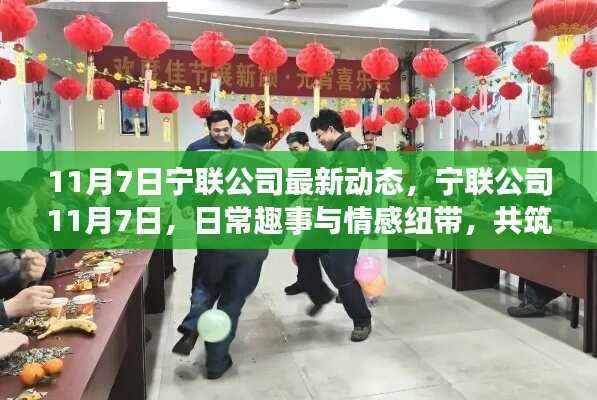 宁联公司11月7日动态更新,日常趣事与情感纽带共创温馨家园