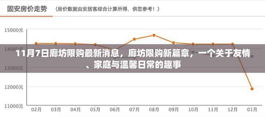 廊坊限购新篇章,友情、家庭与温馨日常的趣事