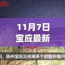 宝应11月7日趣事录,友情的温暖交响