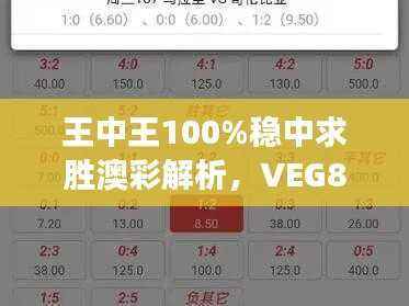 王中王100%稳中求胜澳彩解析,VEG809.24经济版深度解读