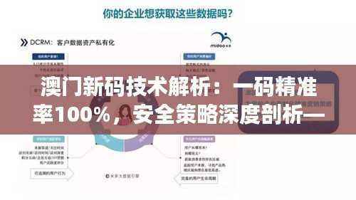 澳门新码技术解析:一码精准率100%,安全策略深度剖析——SOQ713.99优先版