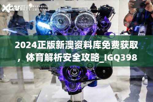 2024正版新澳资料库免费获取,体育解析安全攻略_IGQ398.65