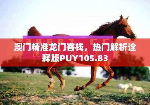 澳门精准龙门客栈,热门解析诠释版PUY105.83