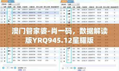 澳门管家婆-肖一码,数据解读版YRQ945.12星耀版