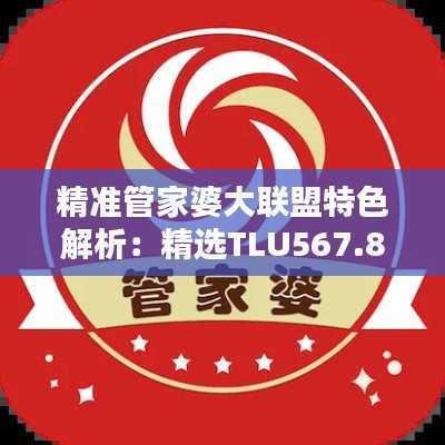 精准管家婆大联盟特色解析:精选TLU567.84固定版详解
