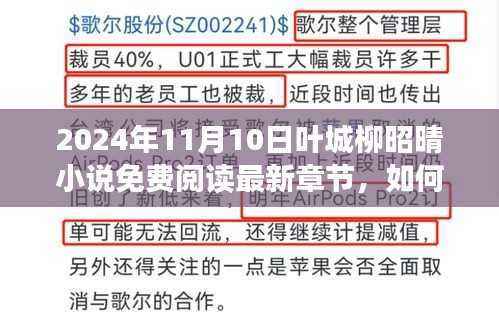 叶城柳昭晴小说免费阅读最新章节,获取与阅读详细步骤指南