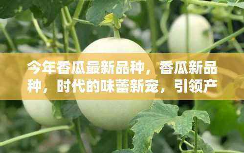 今年香瓜新品种,时代味蕾新宠,引领产业革新篇章