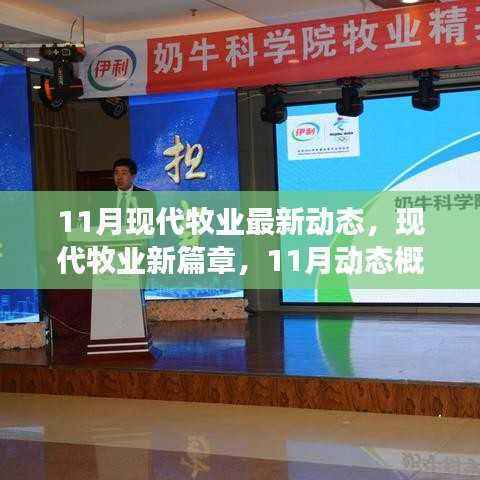 11月现代牧业动态概览,开启新篇章,展望前景发展