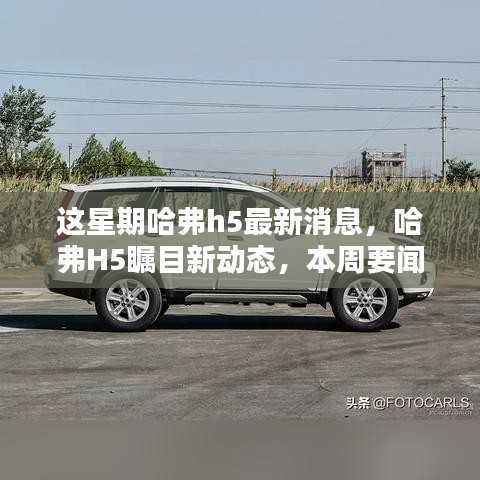 哈弗H5本周瞩目新动态，深度解析最新消息与要闻速递
