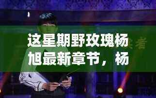 本周杨旭的野玫瑰日常,温馨篇章的新章节更新