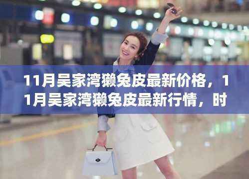 11月吴家湾獭兔皮行情,时尚价值交汇,最新价格与行情解析