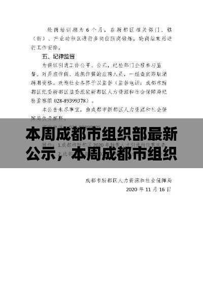 成都市组织部最新公示,人才选拔与岗位调整动态解析报告