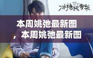 本周姚弛最新图集,友谊的温馨与快乐时光