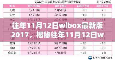 揭秘,往年11月12日wibox最新版2017的功能升级与用户体验探讨