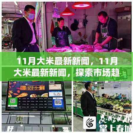探索市场趋势与前沿动态,11月大米最新新闻速递
