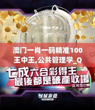 澳门一肖一码精准100王中王,公共管理学_QGV721.21入魂境