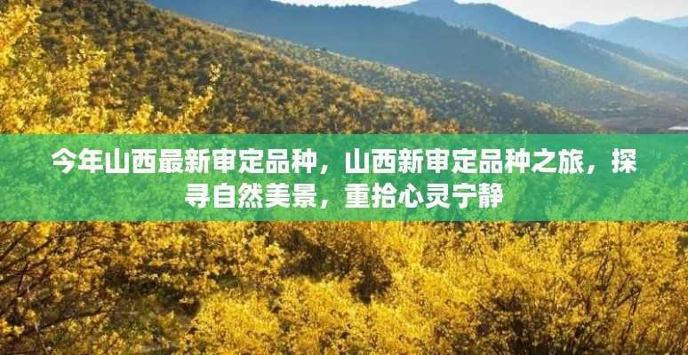 山西新审定品种之旅,探寻自然美景,心灵宁静的寻访之路