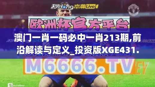 澳门一肖一码必中一肖213期,前沿解读与定义_投资版XGE431.67