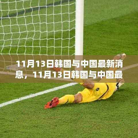 韩国与中国最新消息综述,涉政问题一览(11月13日更新)