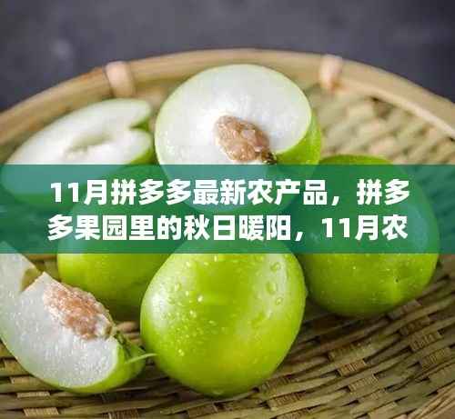 拼多多果园里的秋日暖阳,11月农产品与友情的温馨篇章