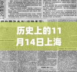 历史上的11月14日,上海遗属补助政策最新解读与观点探讨