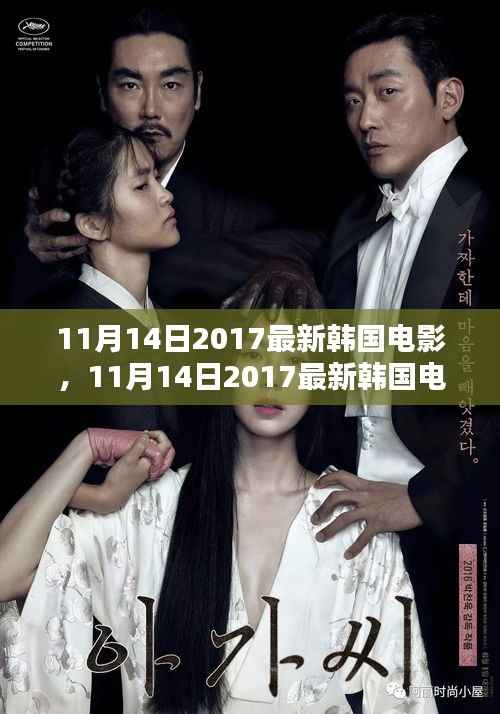 韩国电影深度解析与观点阐述,最新作品探讨(2017年11月14日)