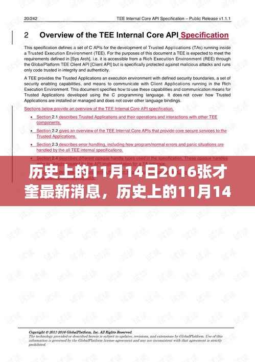 张才奎的最新消息与励志故事,变化的力量与自信闪耀在历史的11月14日