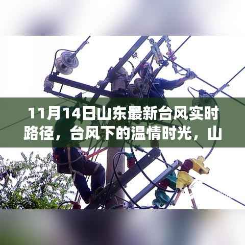 山东台风下的温情时光,家庭与朋友的奇妙旅程实时更新(11月14日)