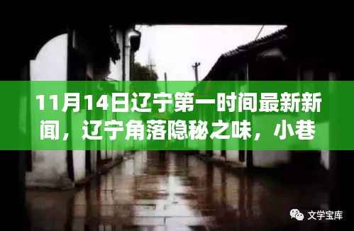 辽宁角落隐秘之味,小巷特色小店探秘记(最新新闻报道)