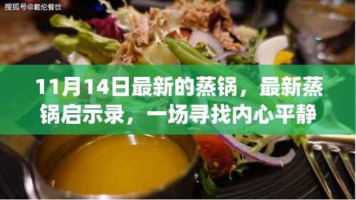 最新蒸锅启示录,寻找内心平静的奇妙旅程