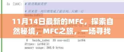 MFC之旅,探索自然秘境,寻找内心平静的奇妙旅程