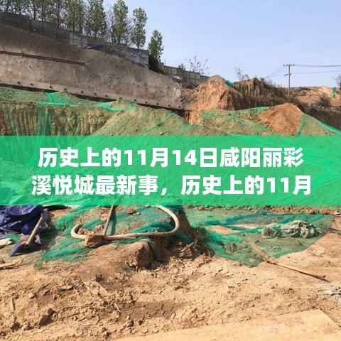 历史上的11月14日咸阳丽彩溪悦城事件回顾与揭秘