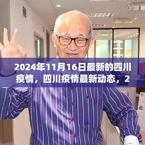 2024年11月16日深度观察,四川疫情最新动态与深度解析