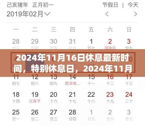 2024年11月特别休息日,暖阳下的欢乐时光