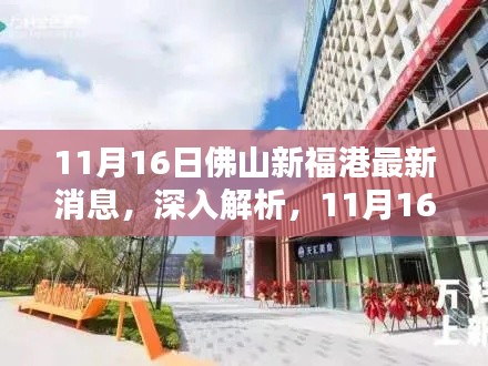 11月16日佛山新福港最新消息深度解析,产品全新动态