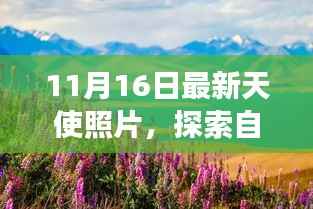 11月16日天使照片,自然美景与心灵之旅的探寻之旅