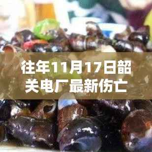 韶关电厂最新伤亡与隐秘小巷的特色小店揭秘,岁月风味之旅