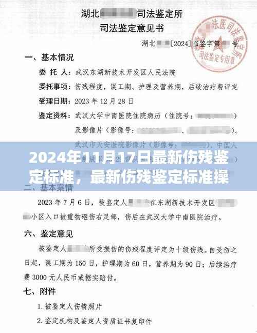最新伤残鉴定标准操作指南(初学者与进阶用户适用)——基于2024年伤残鉴定标准详解