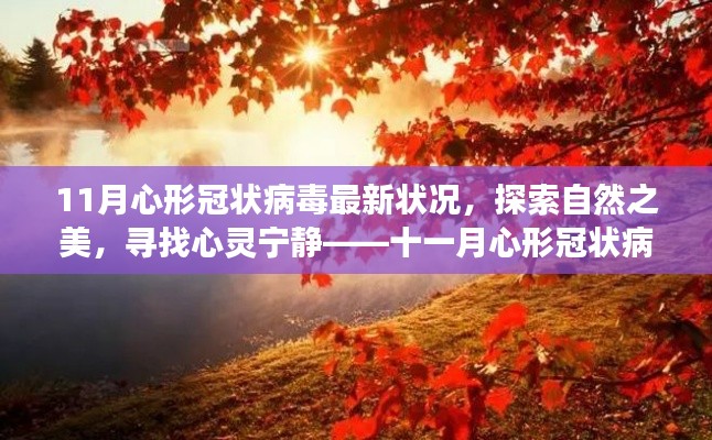 十一月心形冠状病毒旅行新篇章,探索自然之美,心灵宁静之旅的当下状况
