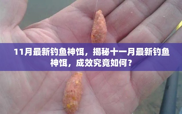 揭秘,十一月最新钓鱼神饵,效果如何?试用体验报告