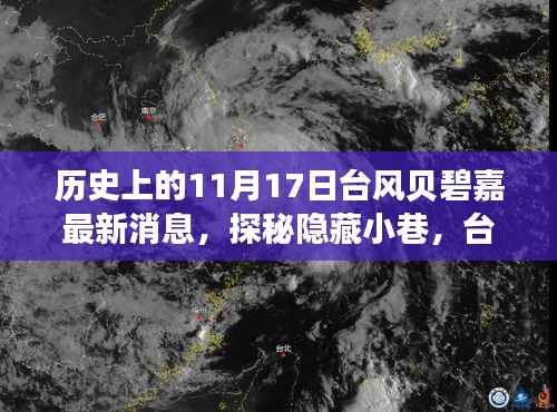 台风贝碧嘉下的特色小店奇遇记，历史11月17日最新消息探秘隐藏小巷的魅力