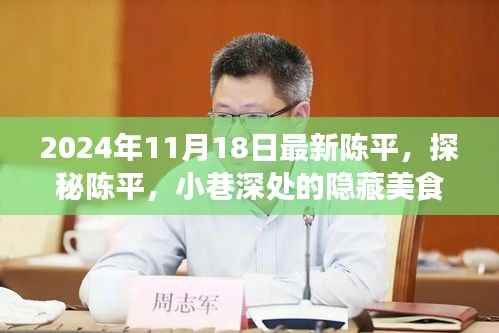 探秘陈平小巷深处的隐藏美食宝藏(2024年11月18日最新)