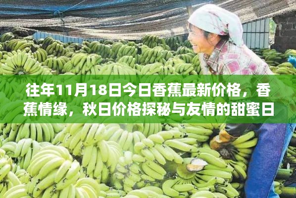 往年11月18日香蕉情缘,秋日价格探秘与甜蜜友情的日常