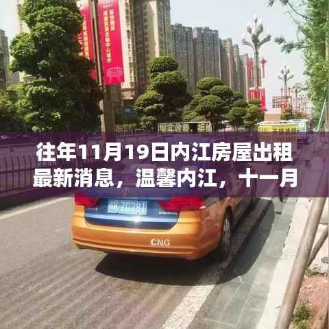 内江房屋出租最新消息,十一月十九日的温馨家园奇遇
