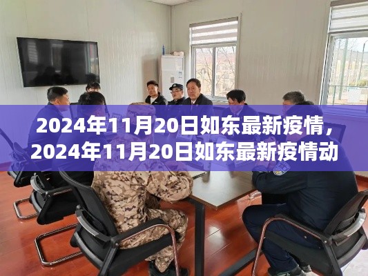 2024年11月20日如东最新疫情动态,防控措施分析与更新
