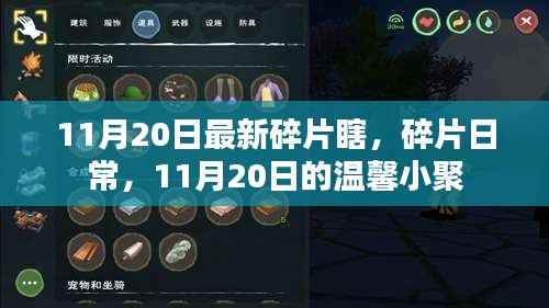 11月20日温馨小聚,碎片日常的最新分享