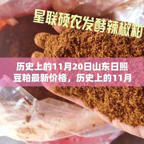 历史上的11月20日山东日照豆粕价格概览与最新市场分析