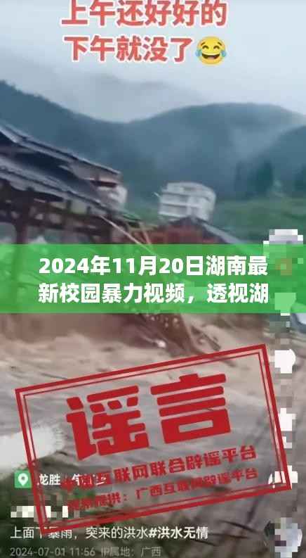 2024年视角下的湖南校园暴力现象,反思与行动