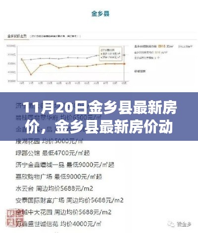 11月20日金乡县房价最新动态及分析