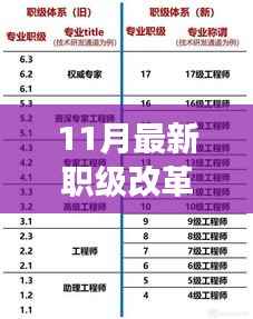 11月职级改革回顾与深秋变革的影响分析